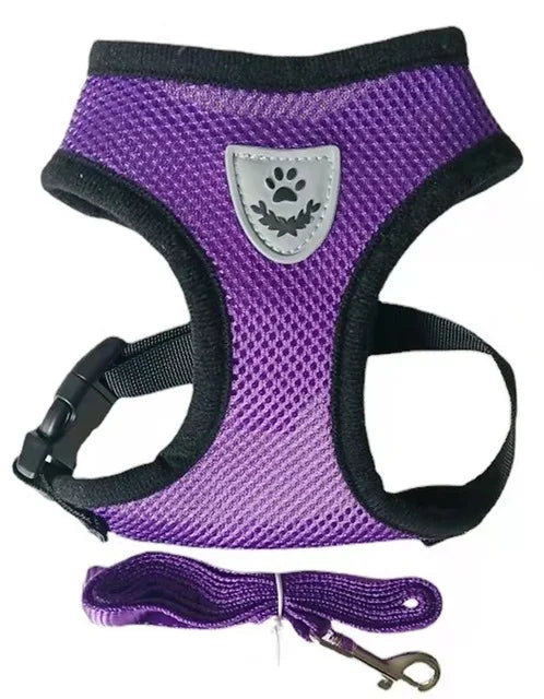 Tailora™ Breathable Mesh Harness & Leash Set