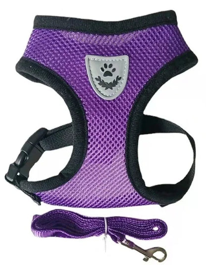 Tailora™ Breathable Mesh Harness & Leash Set