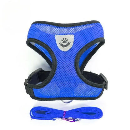 Tailora™ Breathable Mesh Harness & Leash Set