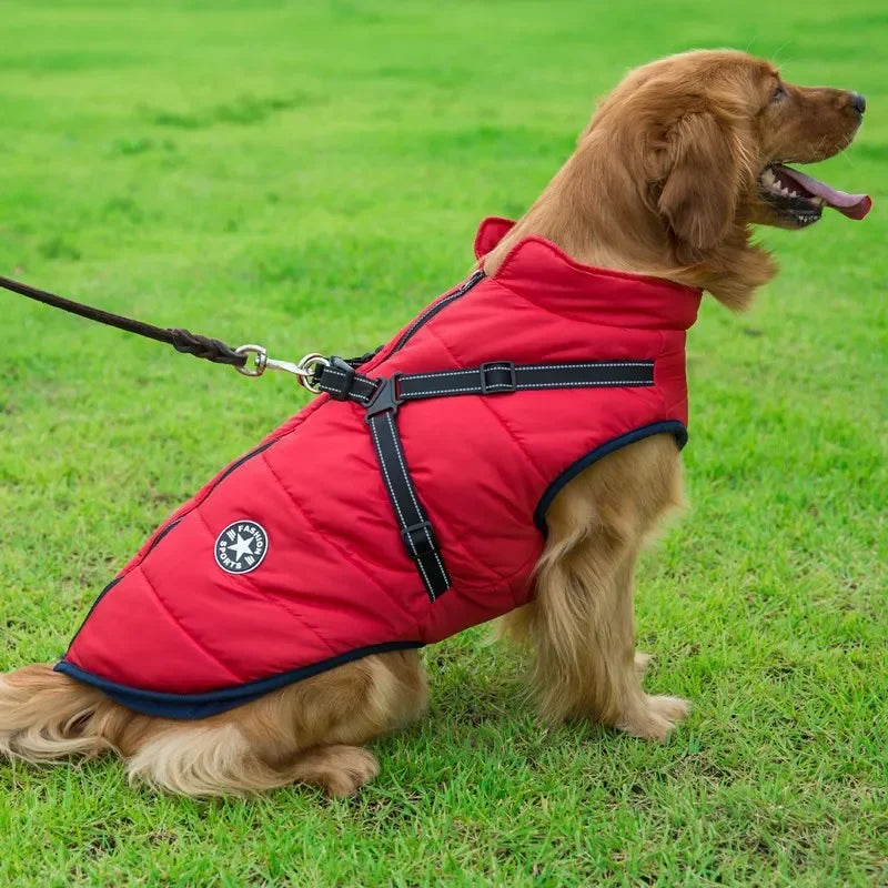 Tailora™ All-in-One Winter Dog Jacket & Harness