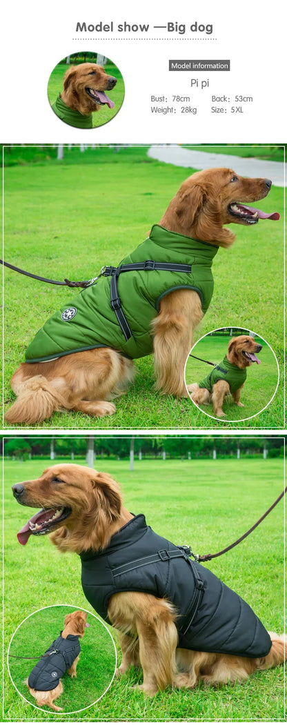 Tailora™ All-in-One Winter Dog Jacket & Harness