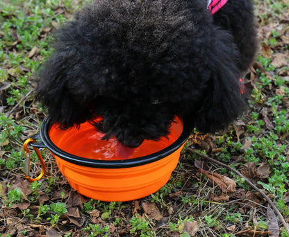 Tailora™ Collapsible Silicone Travel Bowl
