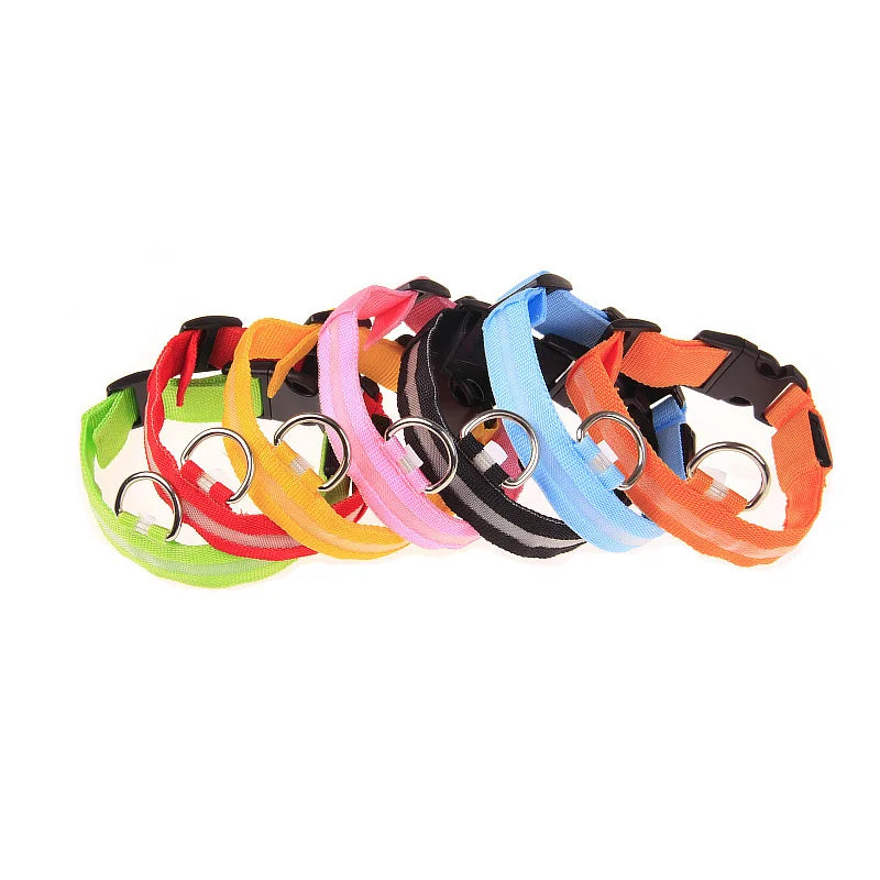 Tailora™ LED Night Safety Glow Leash