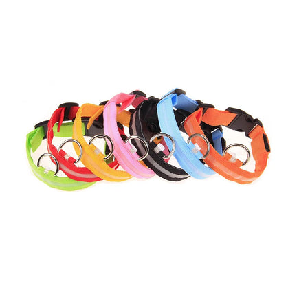 Tailora™ LED Night Safety Glow Leash