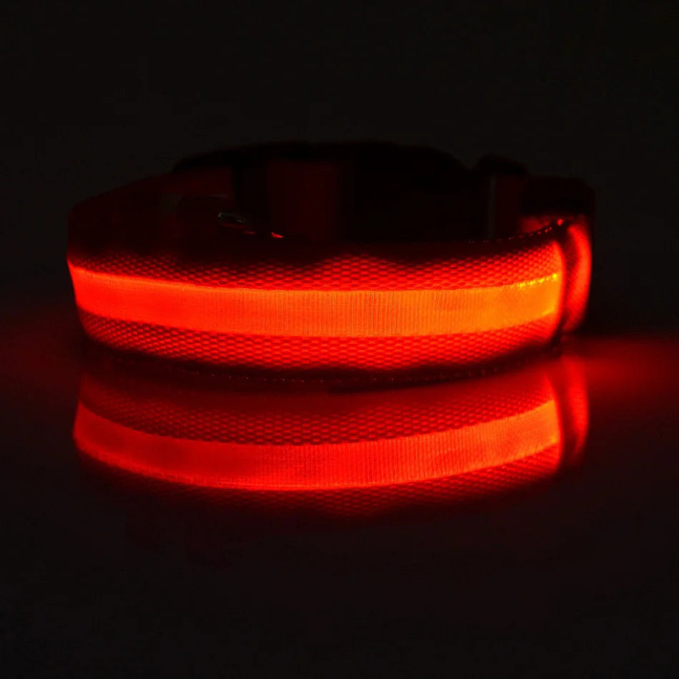 Tailora™ LED Night Safety Glow Leash