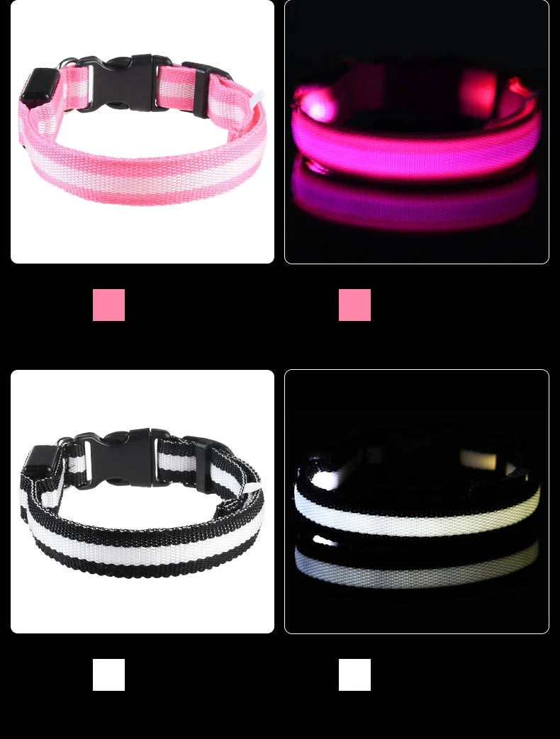 Tailora™ LED Night Safety Glow Leash