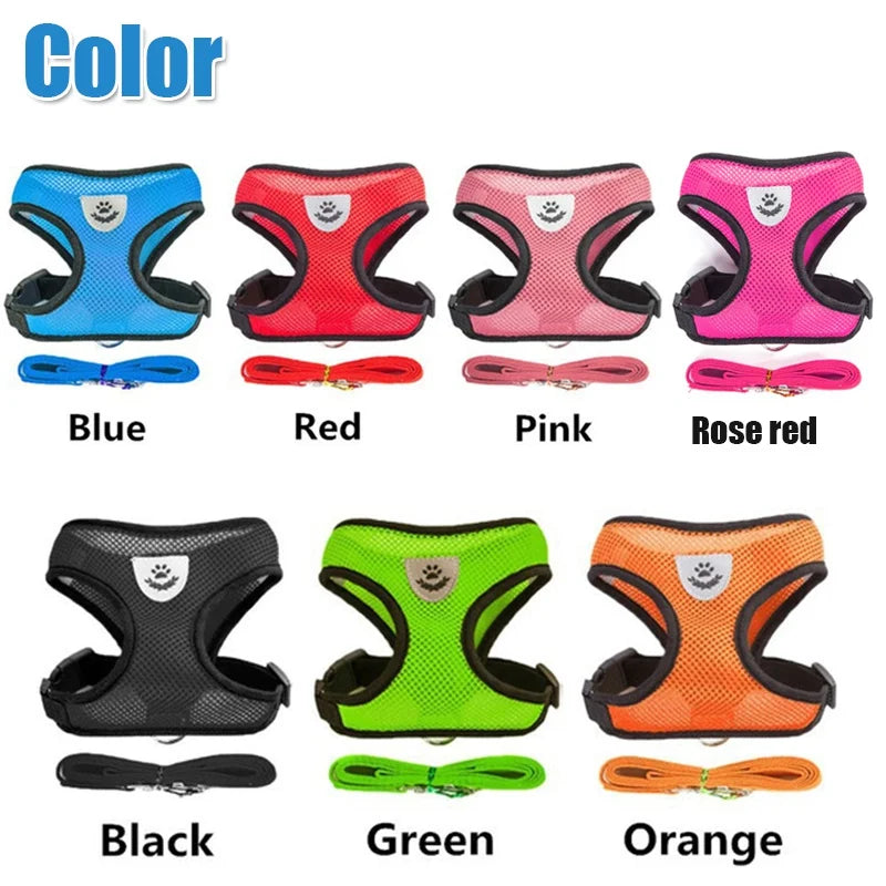 Tailora™ Breathable Mesh Harness & Leash Set
