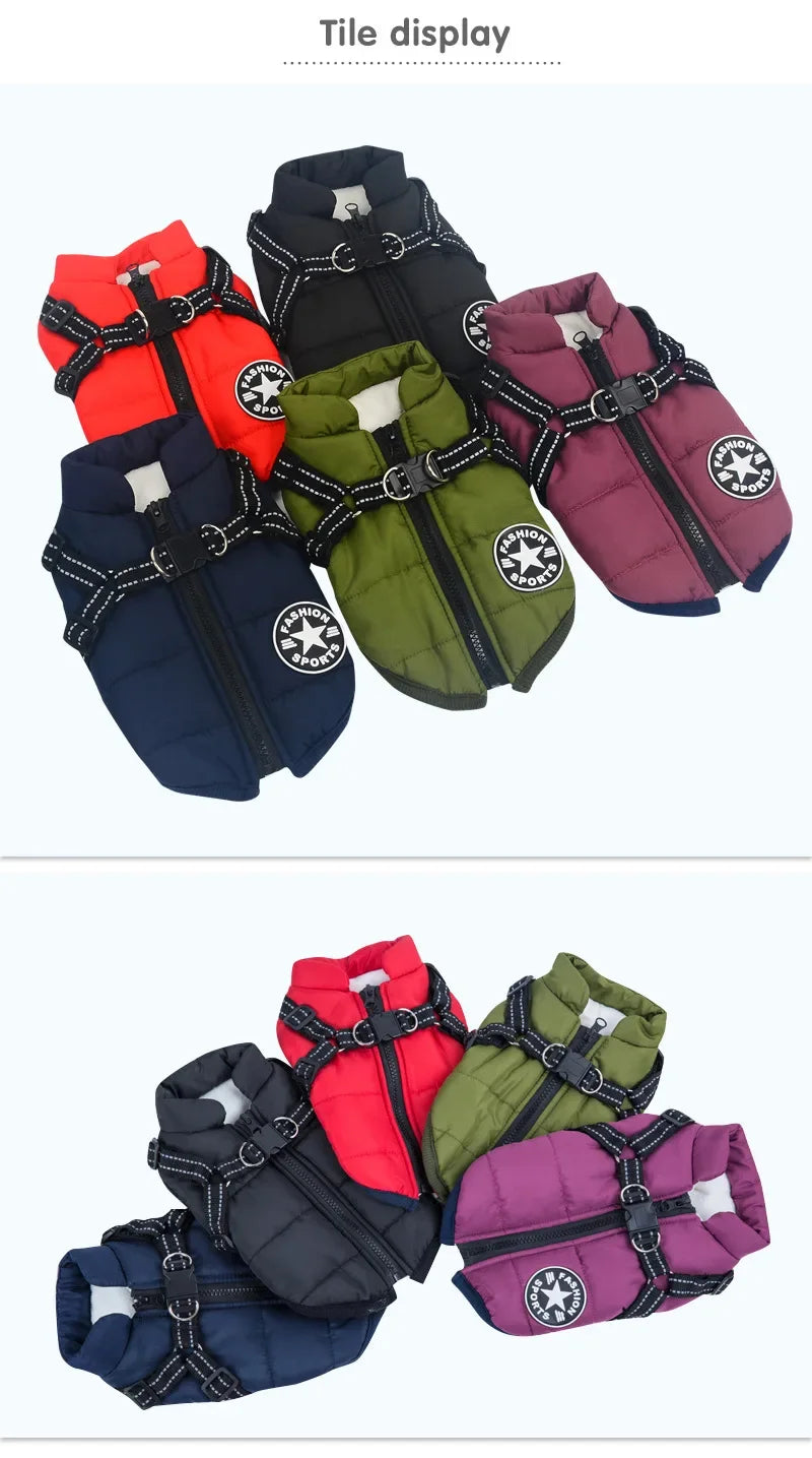Tailora™ All-in-One Winter Dog Jacket & Harness