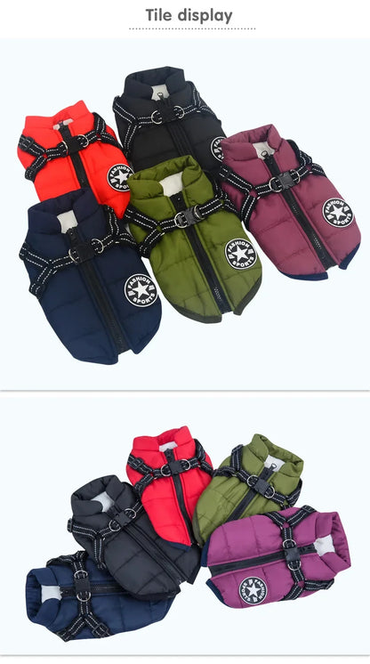 Tailora™ All-in-One Winter Dog Jacket & Harness