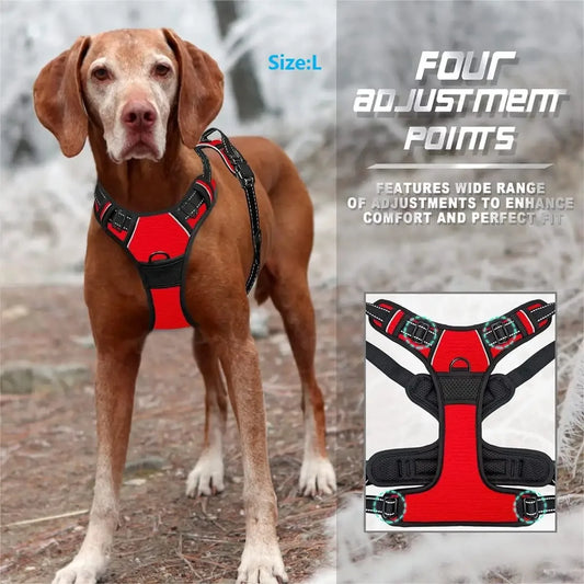 Tailora™ Heavy-Duty No-Pull Dog Harness