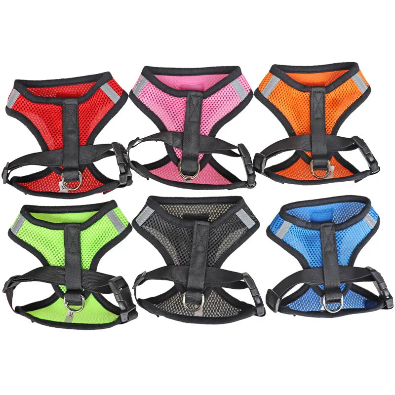 Tailora™ Breathable Mesh Harness & Leash Set