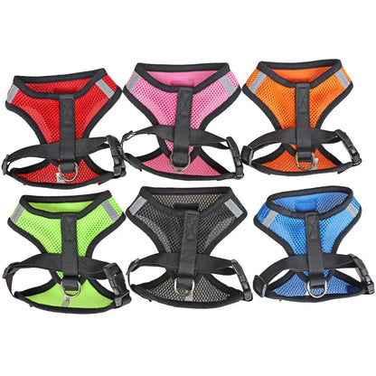 Tailora™ Breathable Mesh Harness & Leash Set