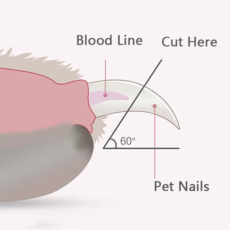 Tailora™ Nail Clipper