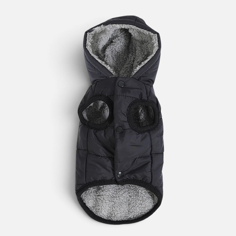 Tailora black winter dog hoodie with grey fleece lining, snap buttons, and a cozy hood for small to medium dogs.