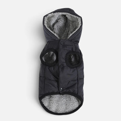 Tailora black winter dog hoodie with grey fleece lining, snap buttons, and a cozy hood for small to medium dogs.