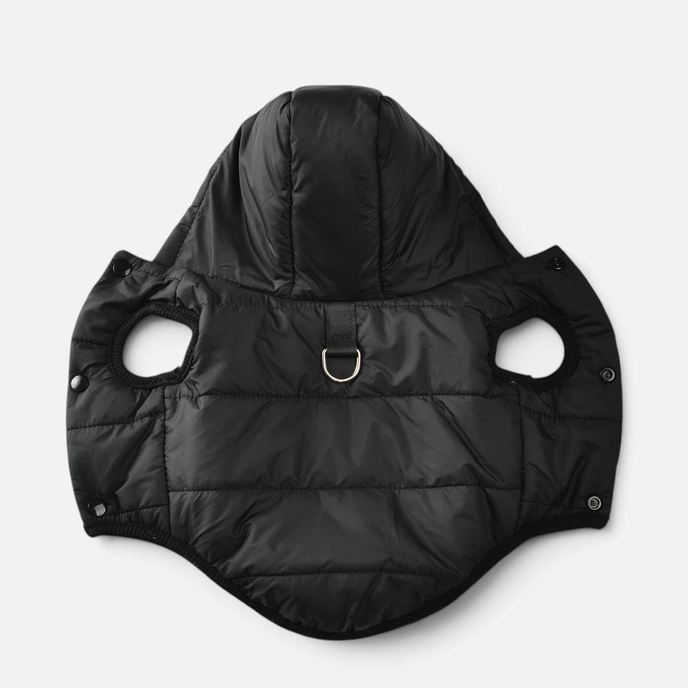 Tailora black insulated dog hoodie with a hood, leash attachment ring, and snap button closures for winter warmth.