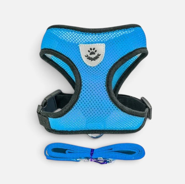 Tailora blue breathable air-mesh step-in harness and matching leash set for small dogs and cats