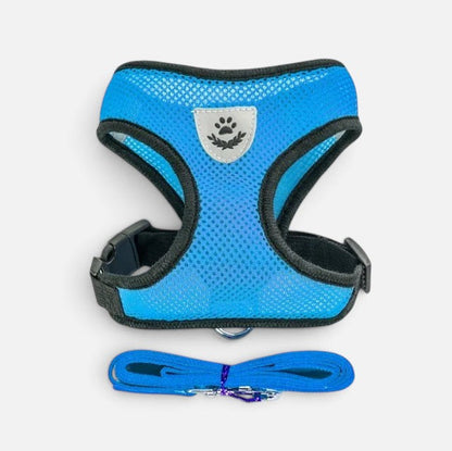 Tailora blue breathable air-mesh step-in harness and matching leash set for small dogs and cats