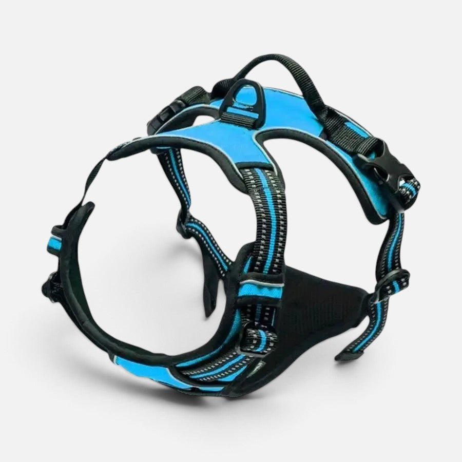 Tailora blue heavy-duty no-pull dog harness with reflective stitching, top control handle, and dual D-ring attachments.