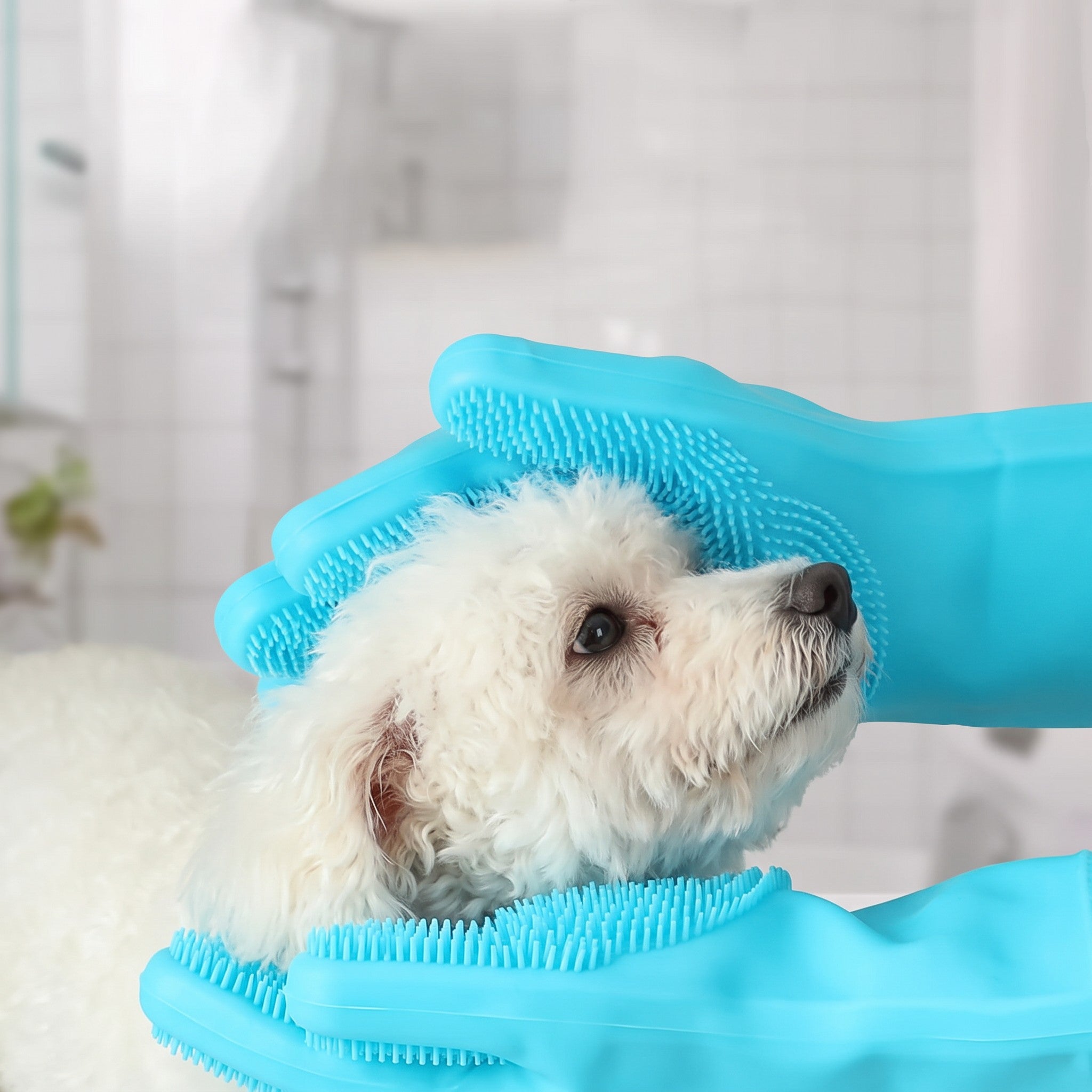 Tailora blue silicone grooming gloves massaging a small white dog during a bath