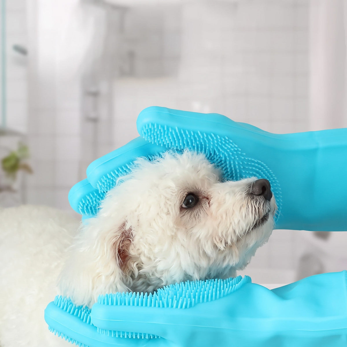 Tailora blue silicone grooming gloves massaging a small white dog during a bath