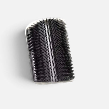 Tailora self-grooming corner wall brush with black plastic bristles for cat massage and shedding control