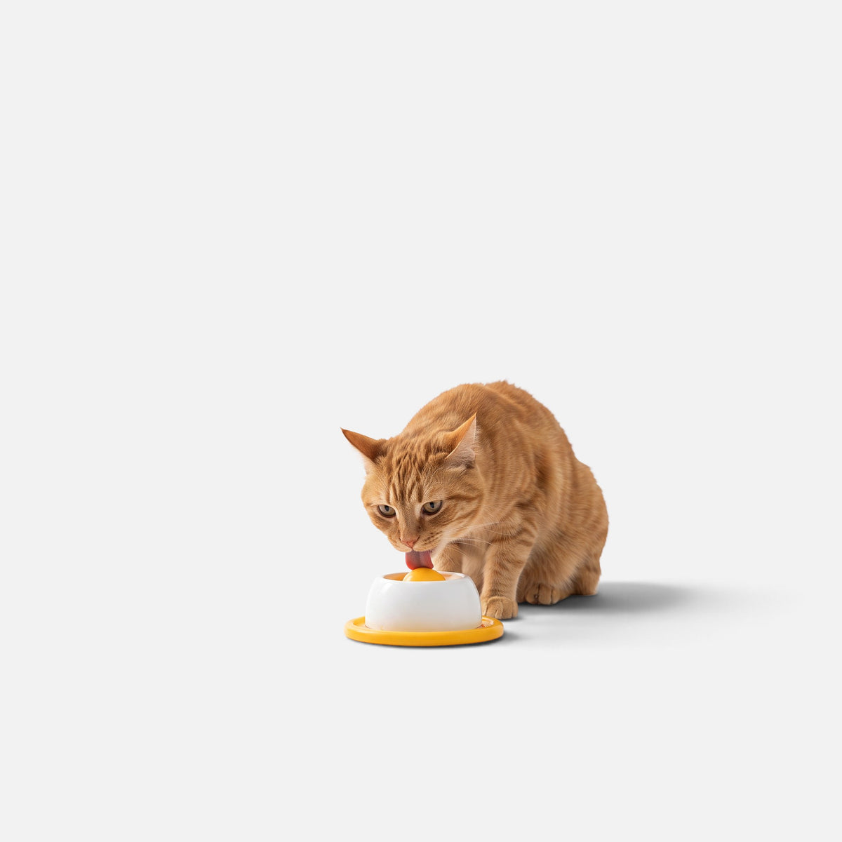 Tailora orange tabby cat licking a yellow and white silicone slow feeder mat on a plain light background