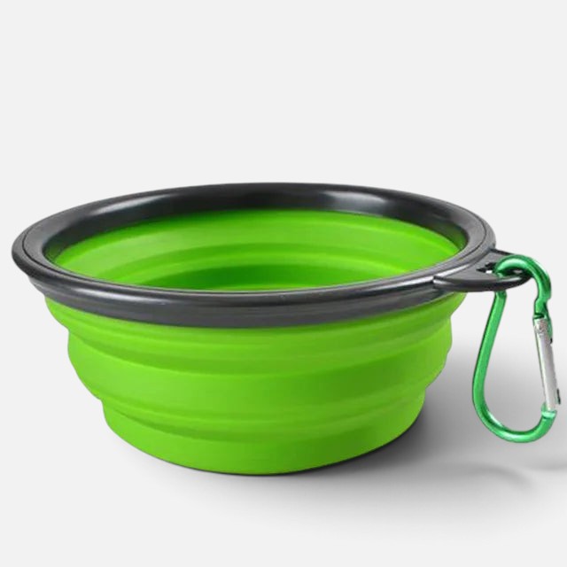 Tailora collapsible green silicone pet travel bowl with a black rim and attached metal carabiner clip.
