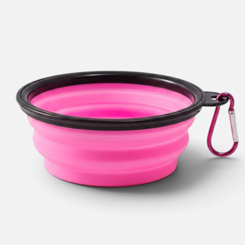Tailora collapsible pink silicone pet travel bowl with a black rim and attached metal carabiner for easy carrying.