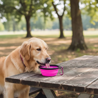 Tailora golden retriever drinking water from a pink collapsible silicone travel bowl on a wooden park picnic table