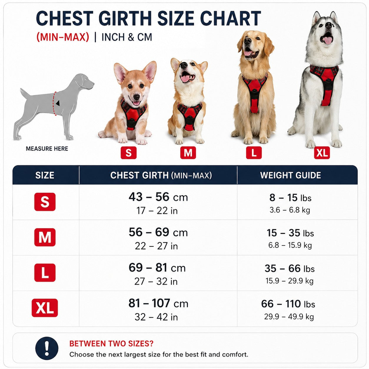 Tailora size chart for heavy-duty no-pull dog harness showing different dog breeds wearing red vests