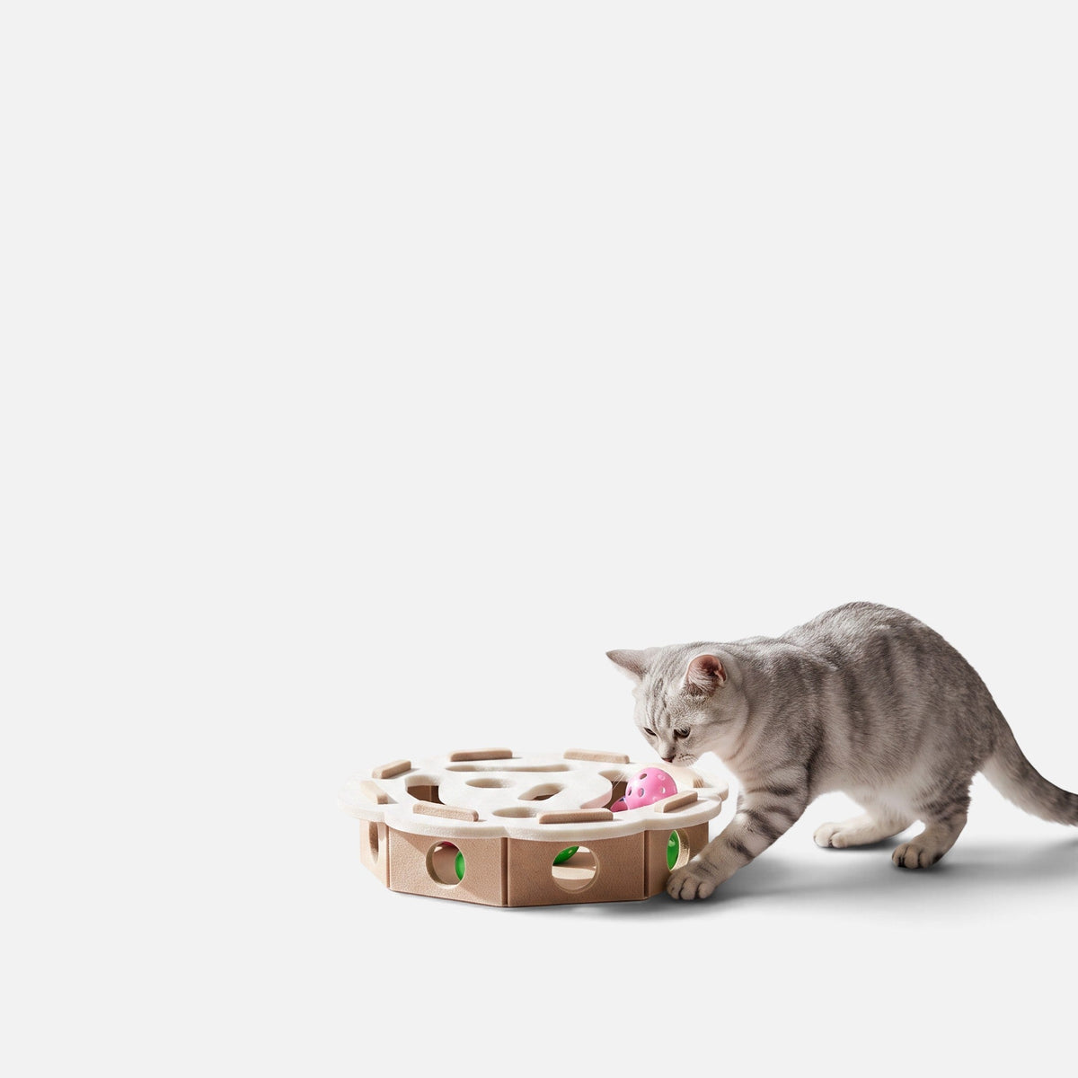 Tailora grey tabby kitten playing with a beige felt interactive puzzle box featuring peek-a-boo holes and toy balls.