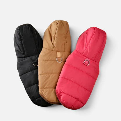 Tailora warm fleece dog hoodies in black, tan, and red with hoods and leash attachment rings for winter walks.