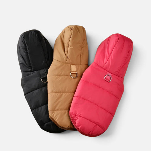Tailora warm fleece dog hoodies in black, tan, and red with hoods and leash attachment rings for winter walks.