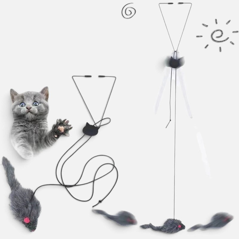 Tailora hanging door cat toy with plush mouse, elastic cord, and door frame clip, featuring a playful grey kitten.