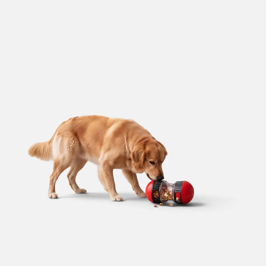 Golden Retriever playing with a red Tailora interactive pet treat dispenser on a white background
