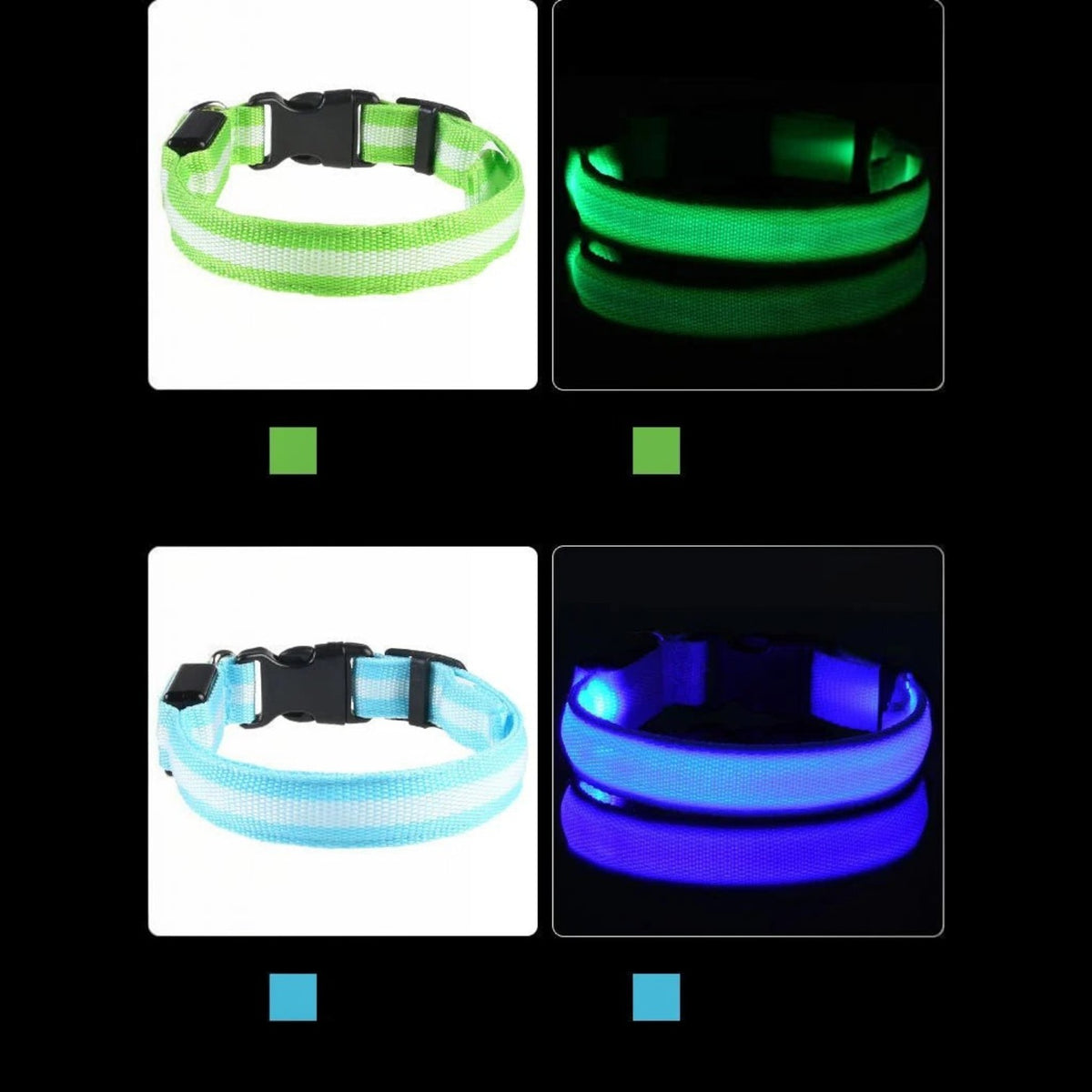 Tailora LED dog collars in green and blue, shown in daylight and glowing in the dark with adjustable buckle clips.