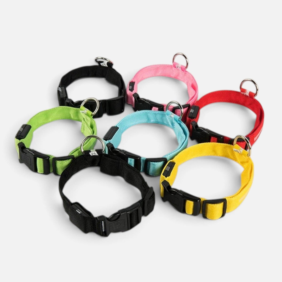 Tailora multi-colored LED dog collars in black, pink, red, yellow, blue, and green nylon with metal D-rings
