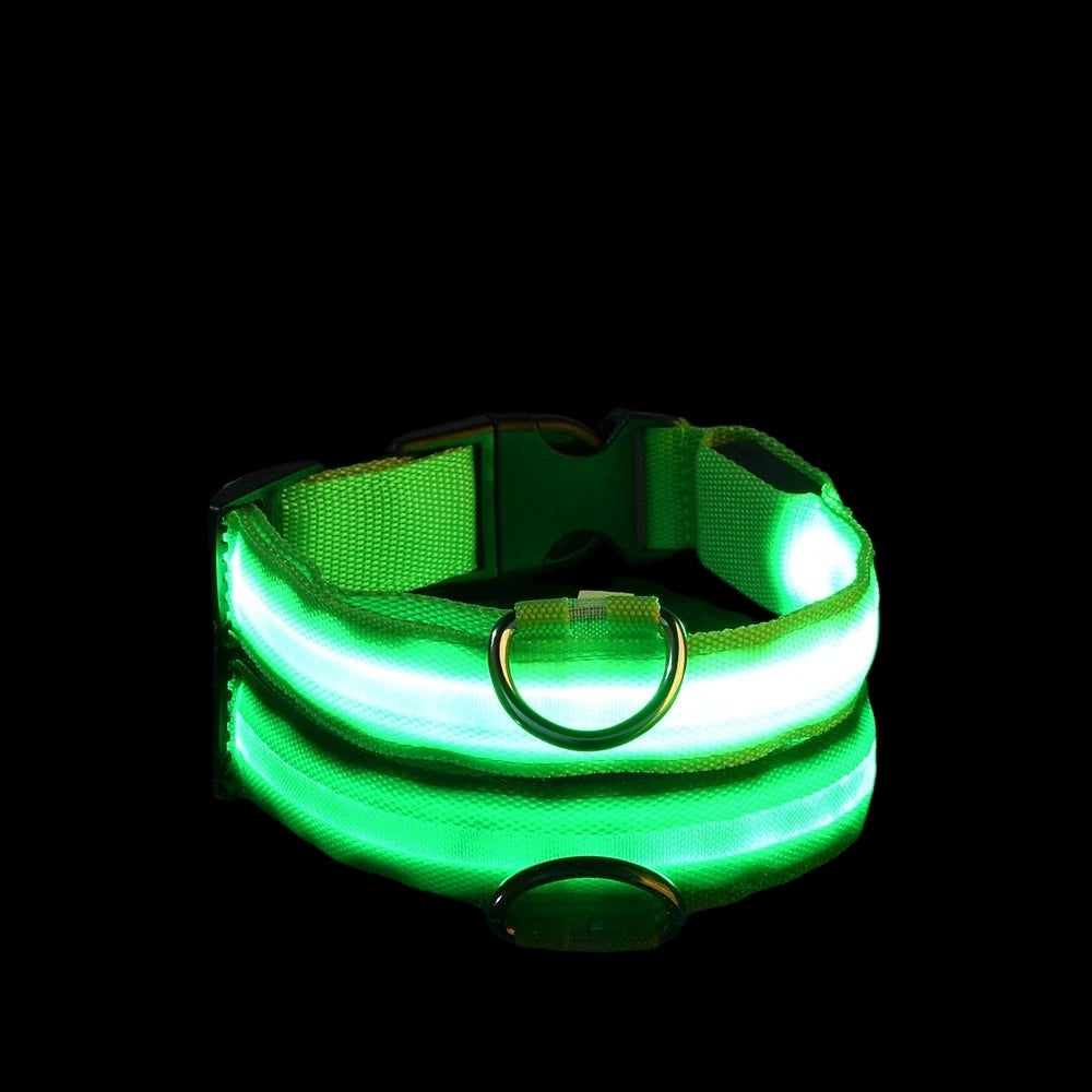Tailora LED dog collar glowing in bright green with a durable nylon strap and metal D-ring for night safety