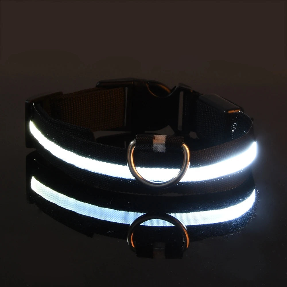 Tailora LED night safety dog collar in black nylon with a bright glowing white light strip and metal D-ring.