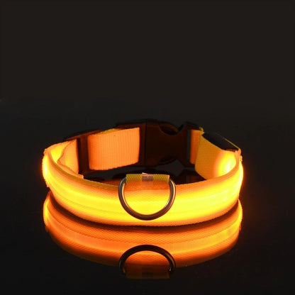 Tailora LED dog collar glowing in bright orange with a durable buckle and metal D-ring for night safety
