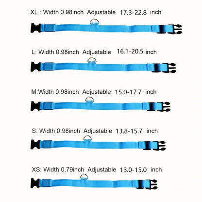 Tailora LED safety dog collars in blue nylon shown in five adjustable sizes from XS to XL with metal D-rings