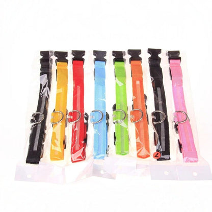 Tailora LED night safety glow leashes in various bright colors, packaged individually in clear plastic sleeves.