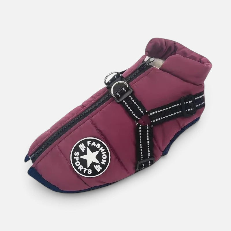 Tailora maroon waterproof winter dog jacket with integrated harness, back zipper, and reflective safety straps.
