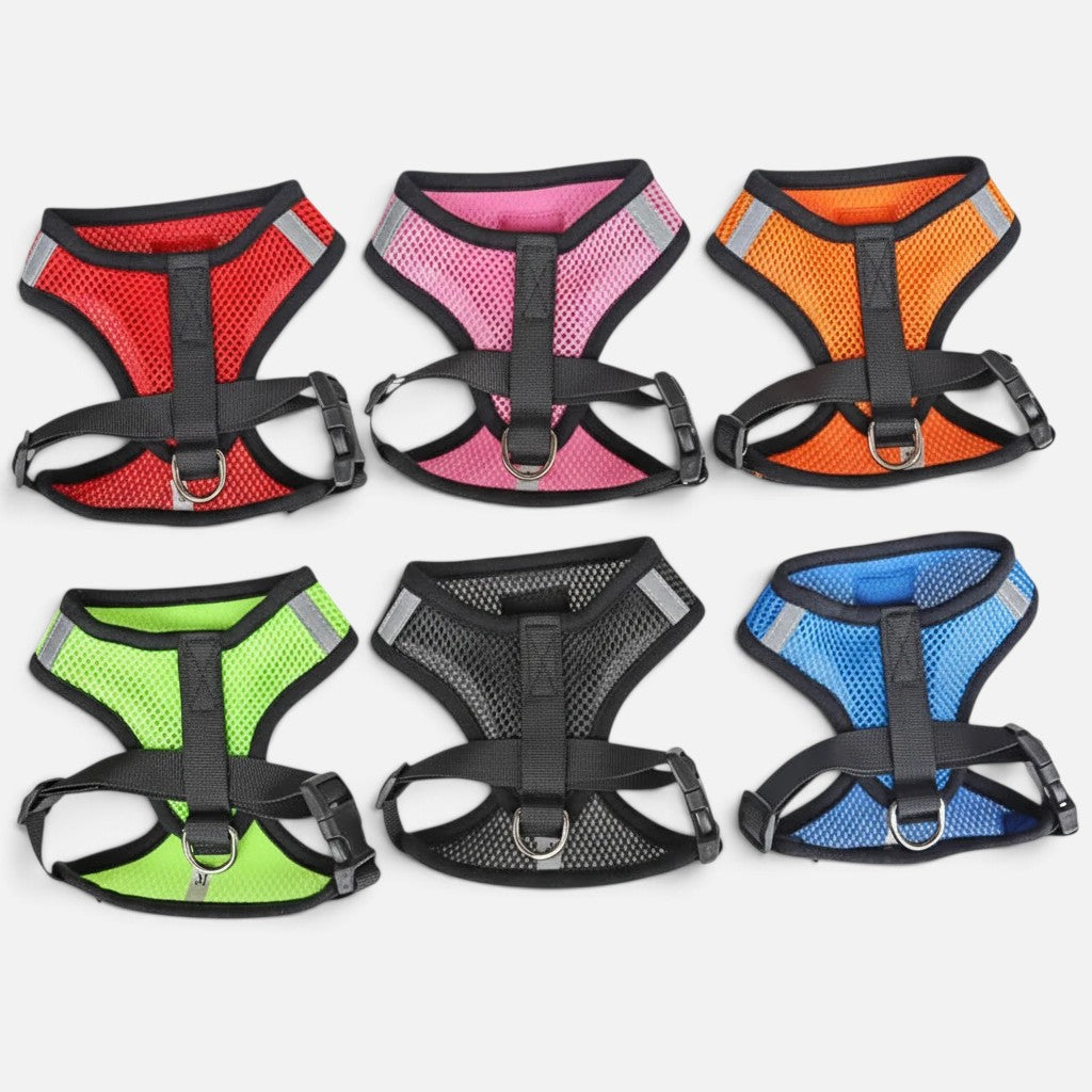 Tailora collection of six breathable mesh step-in harnesses in red, pink, orange, green, black, and blue colors.