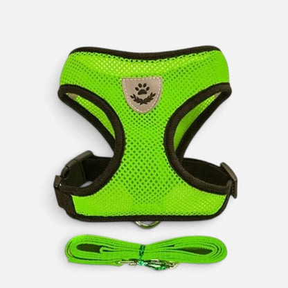 Tailora neon green breathable air-mesh step-in harness and matching leash set for small dogs and cats
