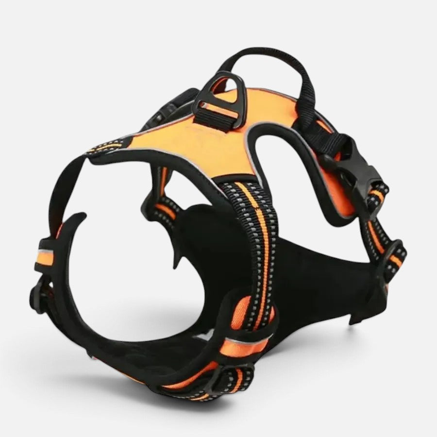 Tailora orange and black heavy-duty no-pull dog harness with reflective trim, top handle, and dual D-ring attachments.
