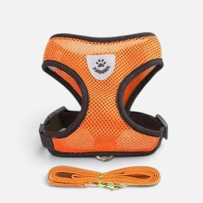 Tailora orange breathable air-mesh step-in vest harness and matching leash set for small dogs and cats