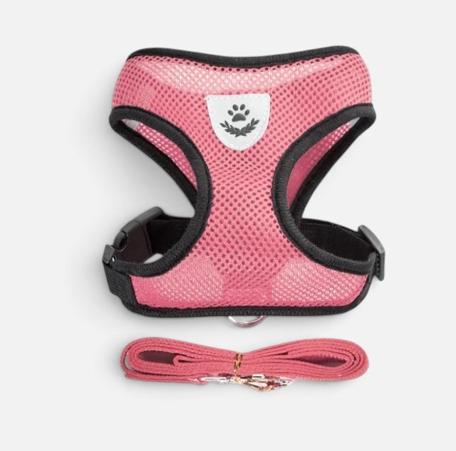 Tailora pink breathable air-mesh step-in vest harness and matching leash set for small dogs and cats