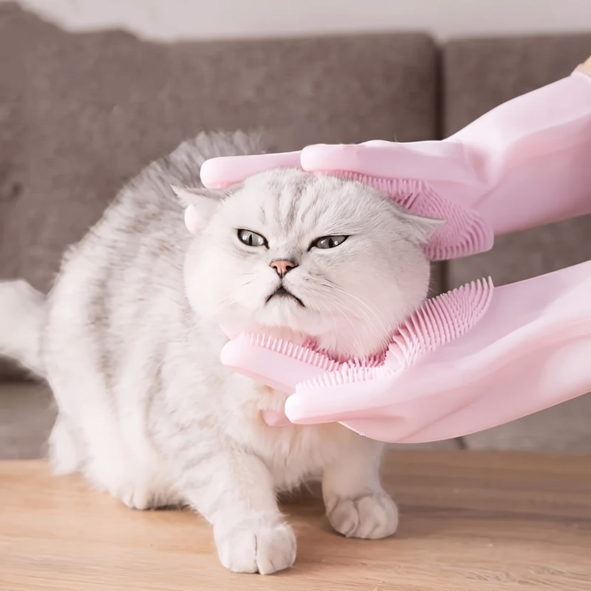Tailora pink silicone grooming gloves massaging a fluffy grey cat for bath time and deshedding